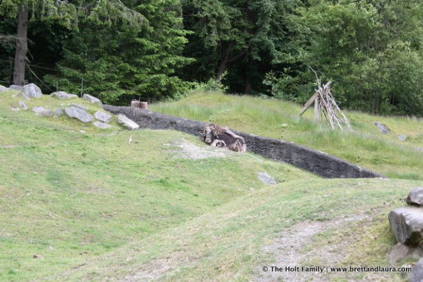 Point Defiance Zoo