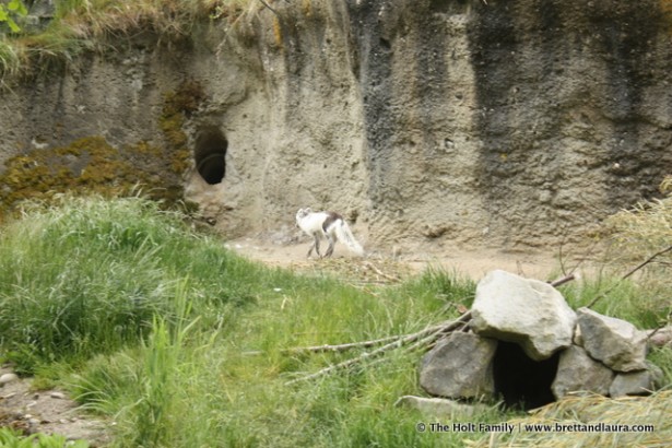 Point Defiance Zoo