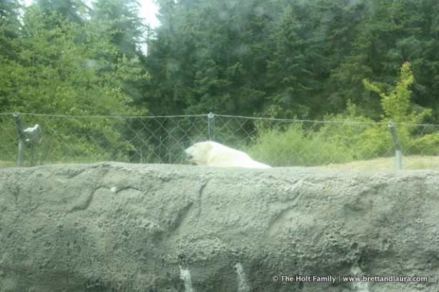 Point Defiance Zoo