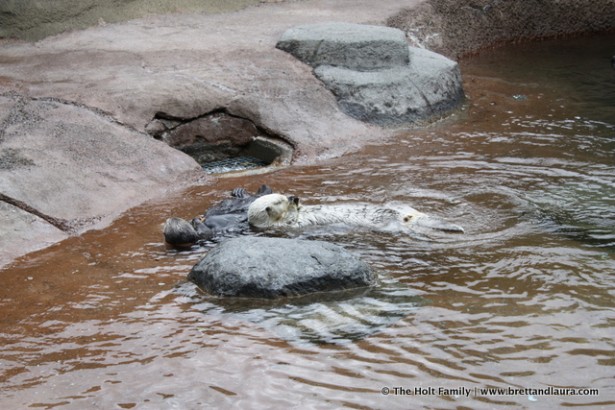 Point Defiance Zoo