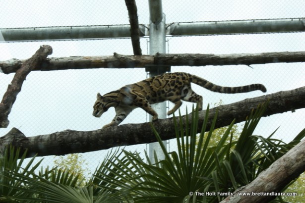 Point Defiance Zoo