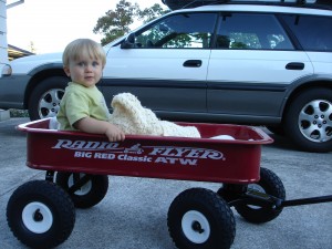 Ethan Holt and his Radio Flyer Wagon