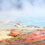 Midway Geyser Basin